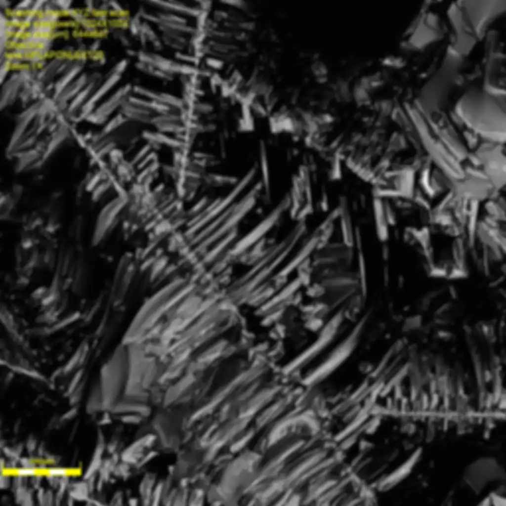 Sulfur crystal cathode