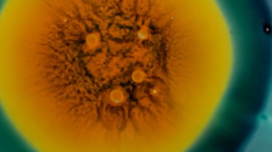 Circular Biomanufacturing
