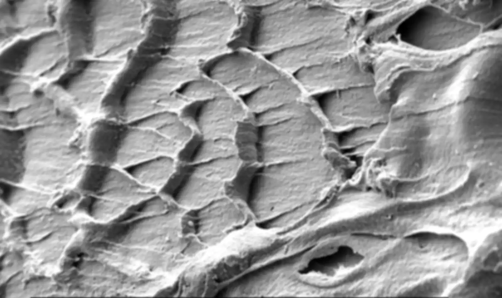 Surfaces of a physico-chemically modified plastic waste
