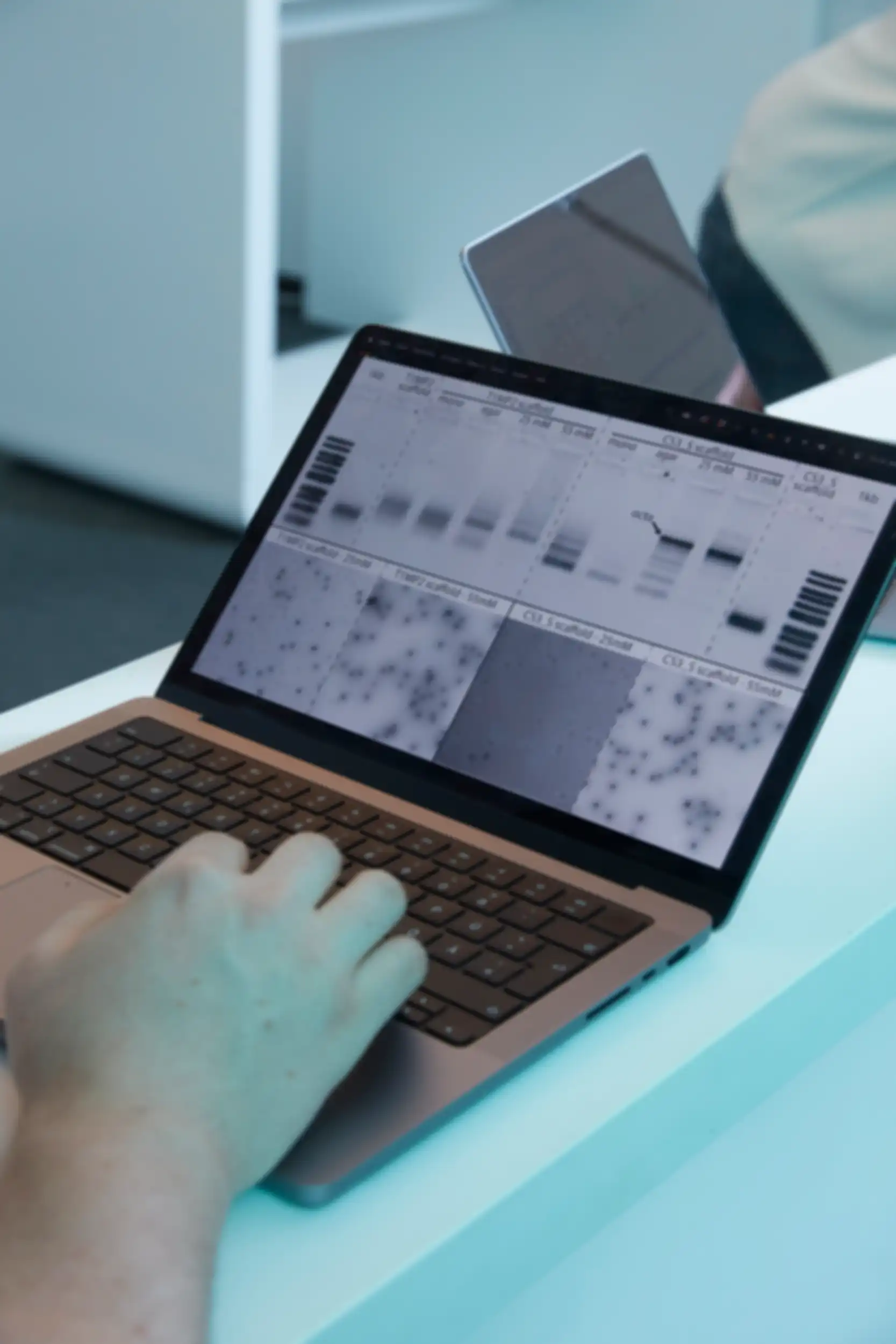 A shot of a laptop displaying test results