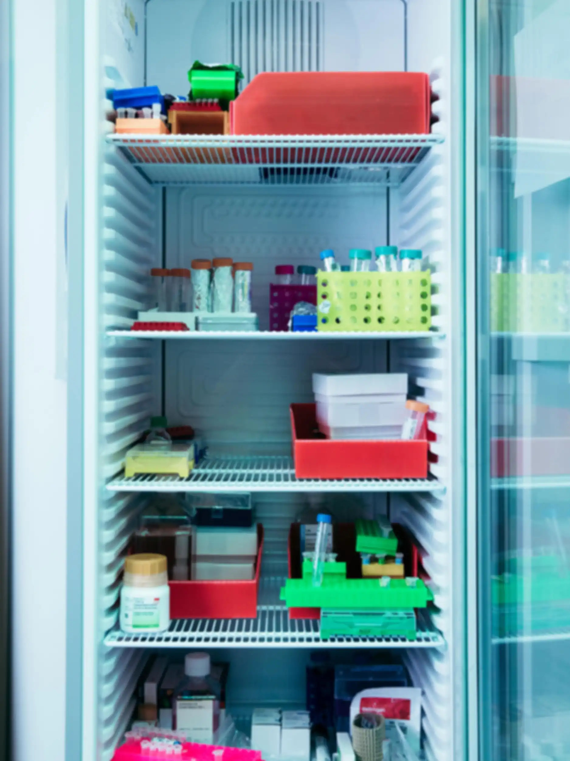 Several centrifuge tubes and other containers are stored in a refrigerator