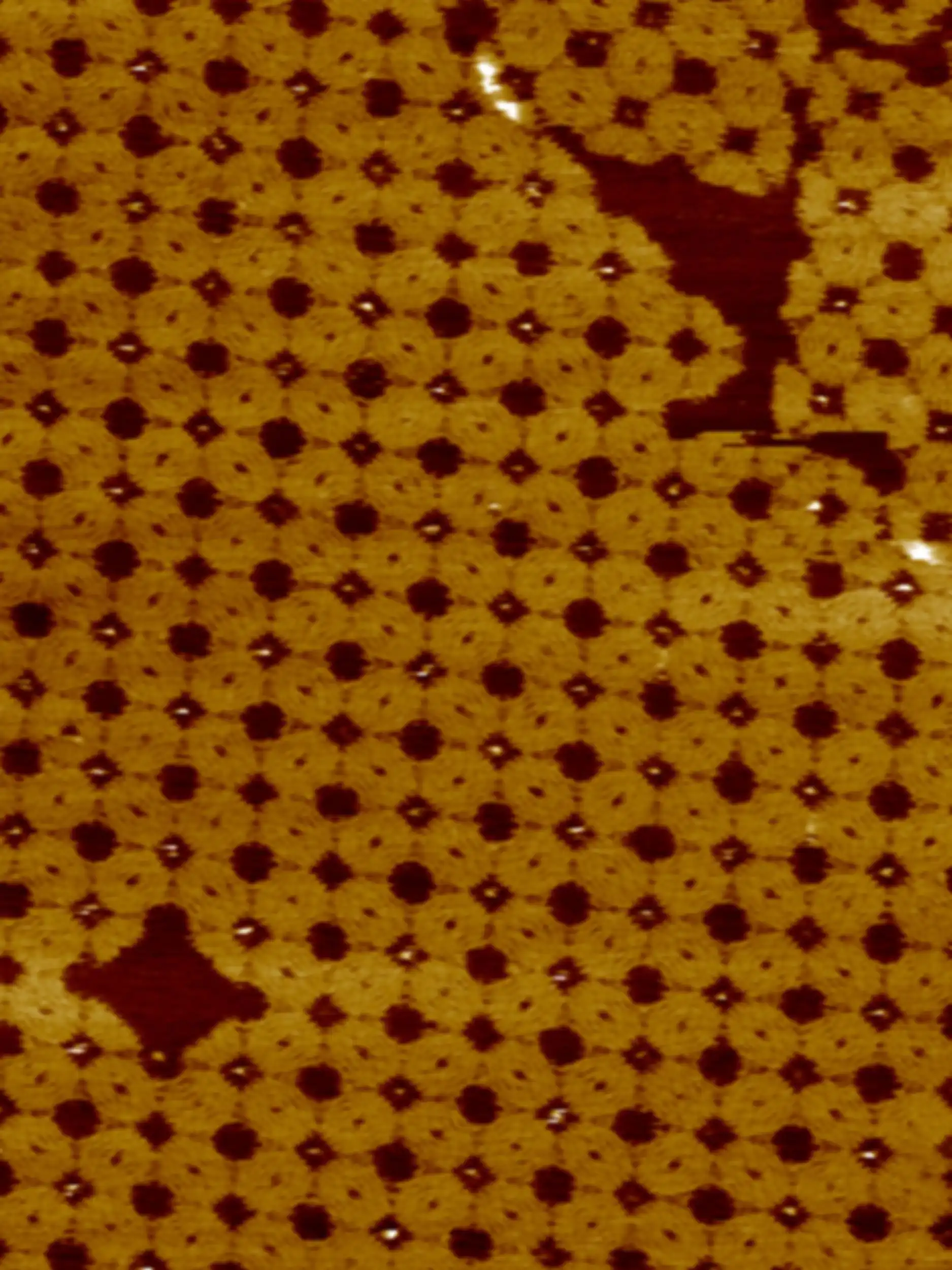 A DNA Nanostructure