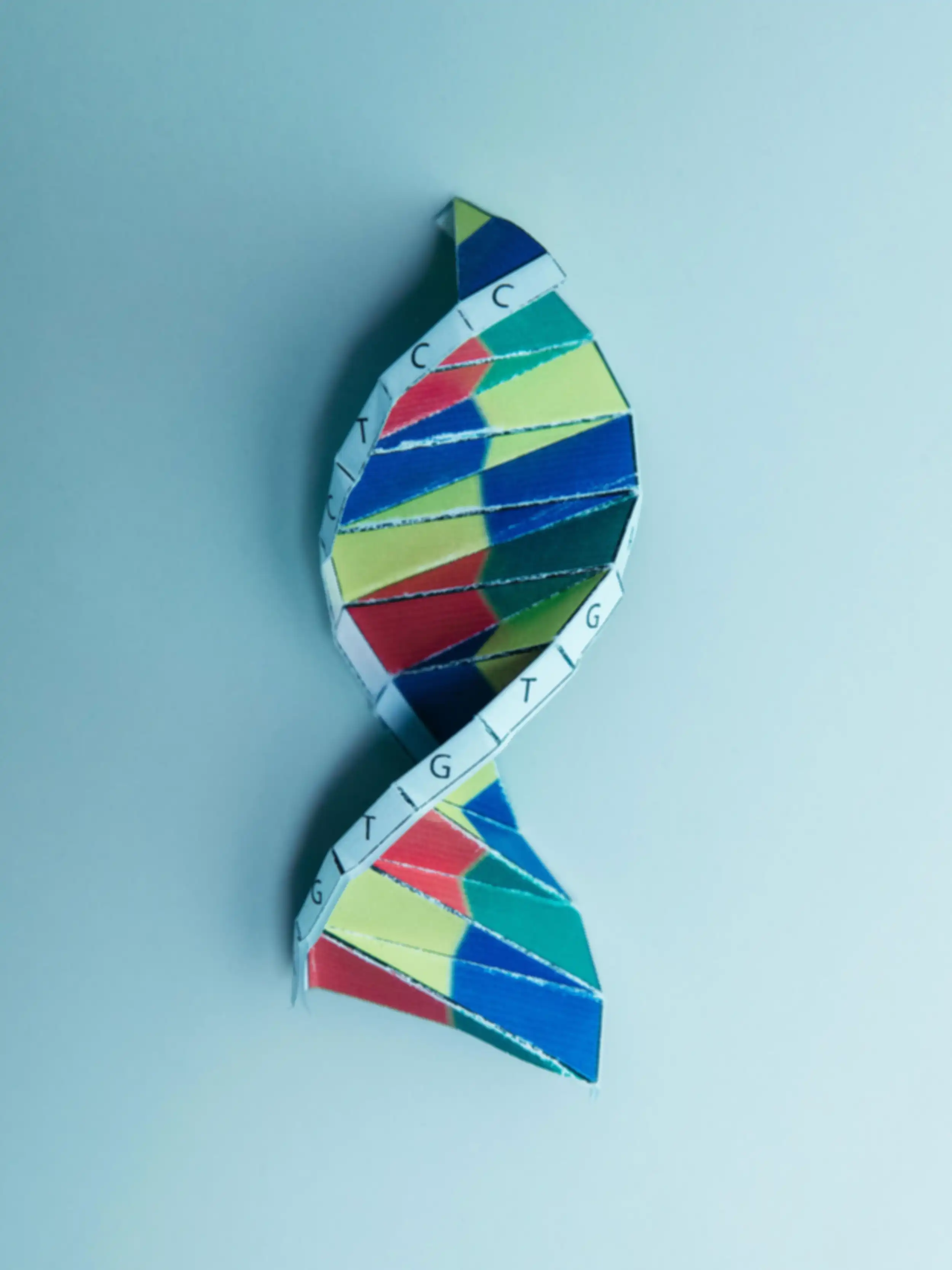 A multicolored cardboard model of a DNA double helix