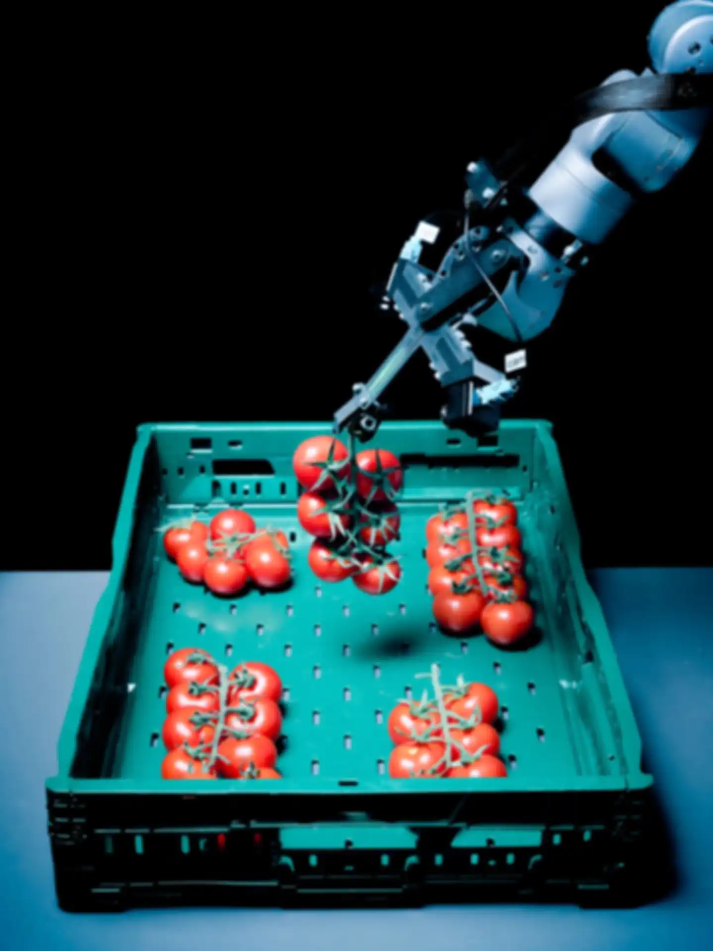 Polybot-Prototyp mit Tomaten