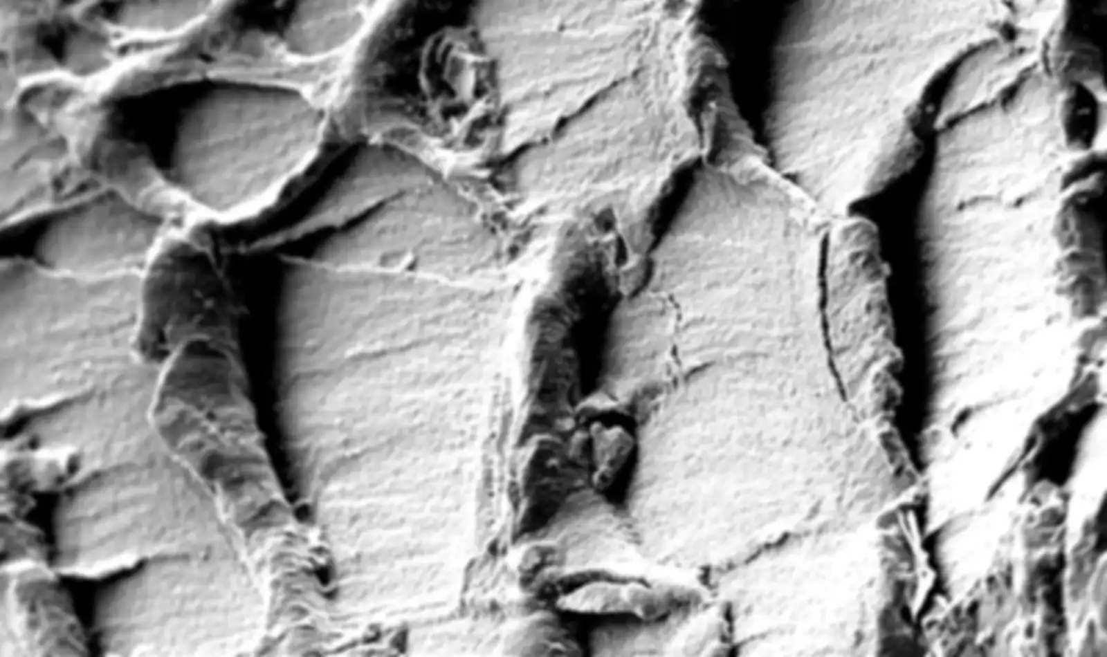 Surfaces of a physico-chemically modified plastic waste made from acrylonitrile-butadiene-styrene copolymer 