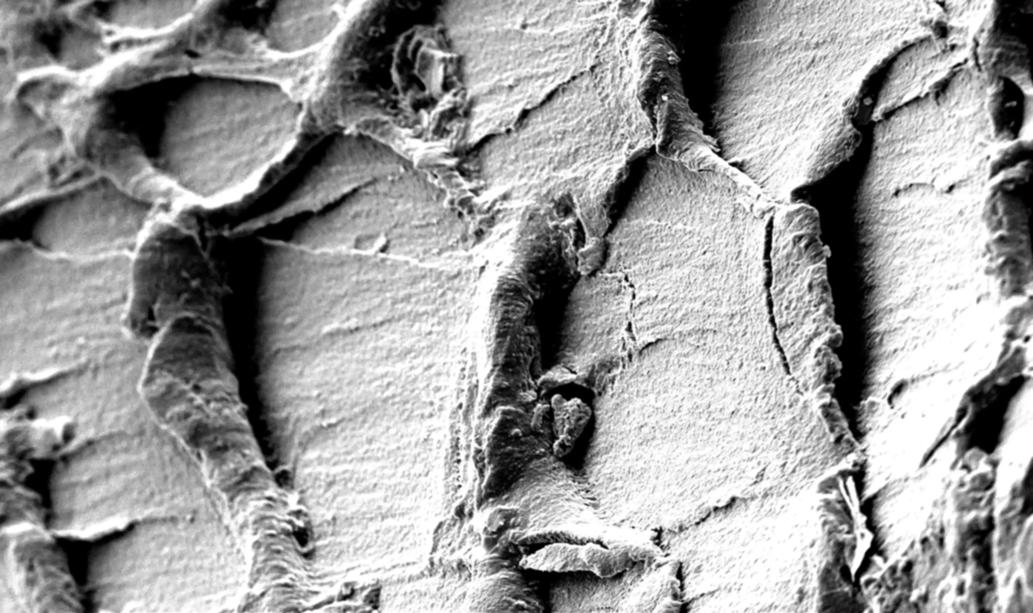 Surfaces of a physico-chemically modified plastic waste made from acrylonitrile-butadiene-styrene copolymer