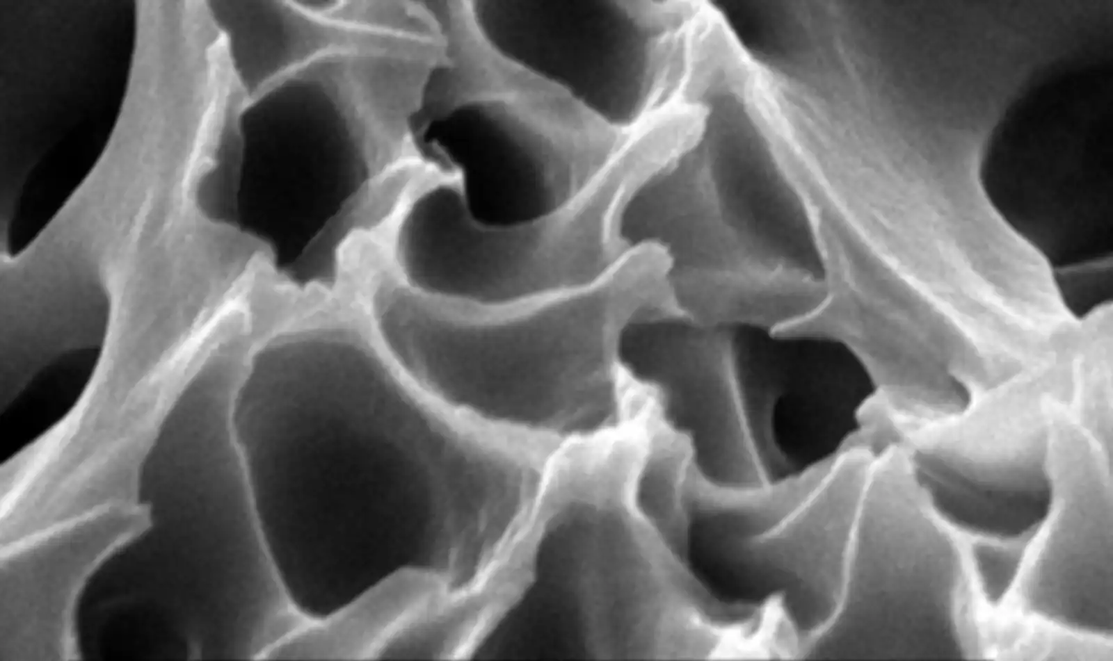 Adsorbents at 10000x magnification, with increased porosity