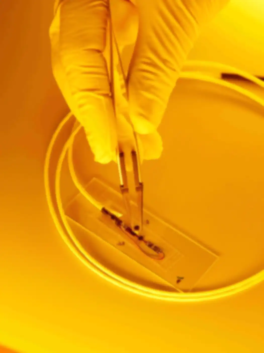 modern camera designs