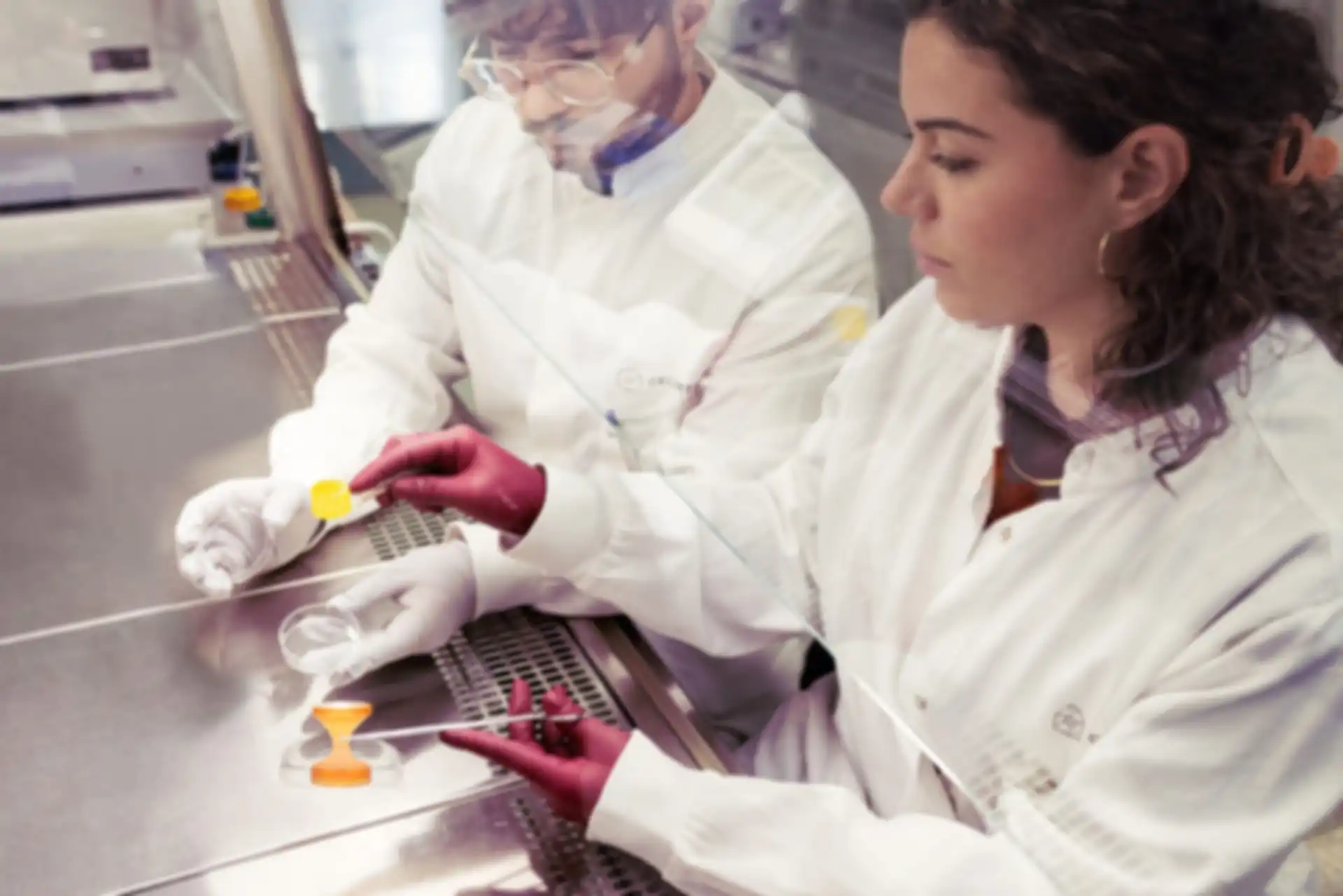 Two people at work in the lab.