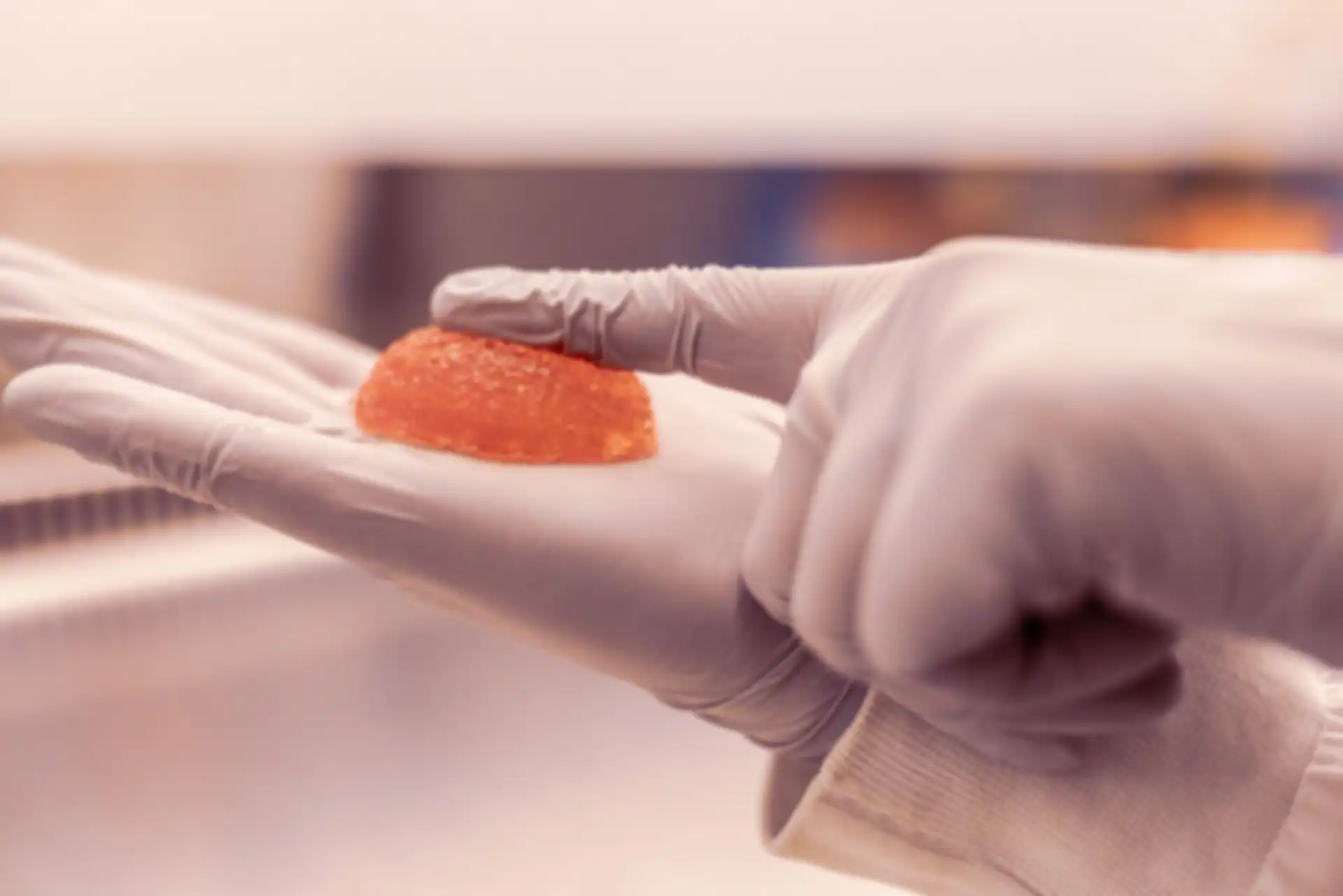 Close-up in a laboratory.