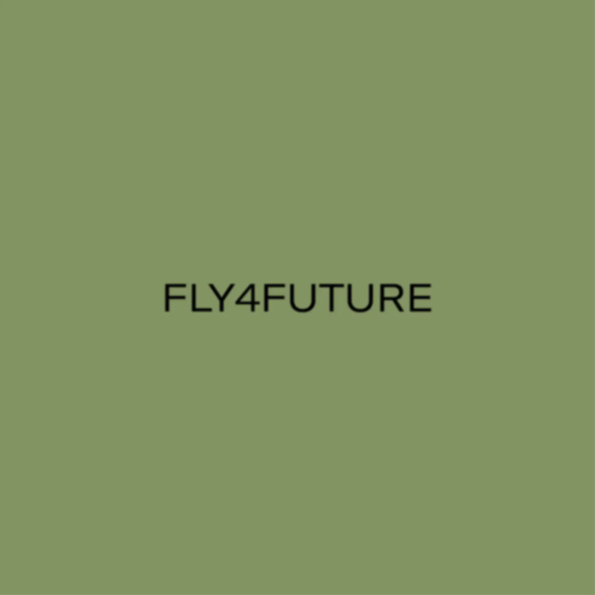 Schriftzug "Fly4Future"