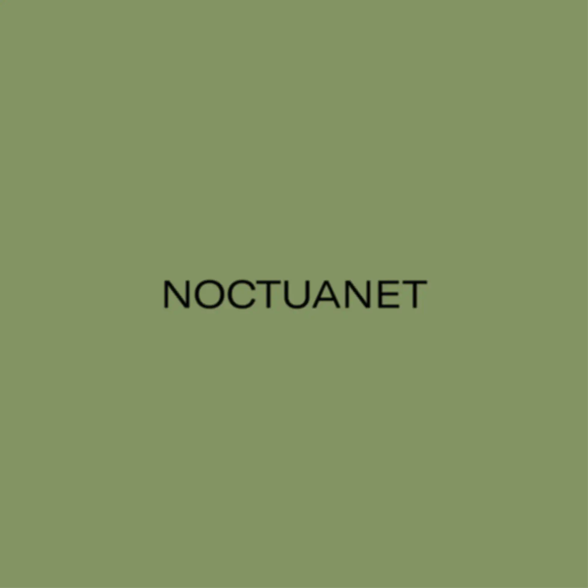 Schriftzug "NoctuaNet"