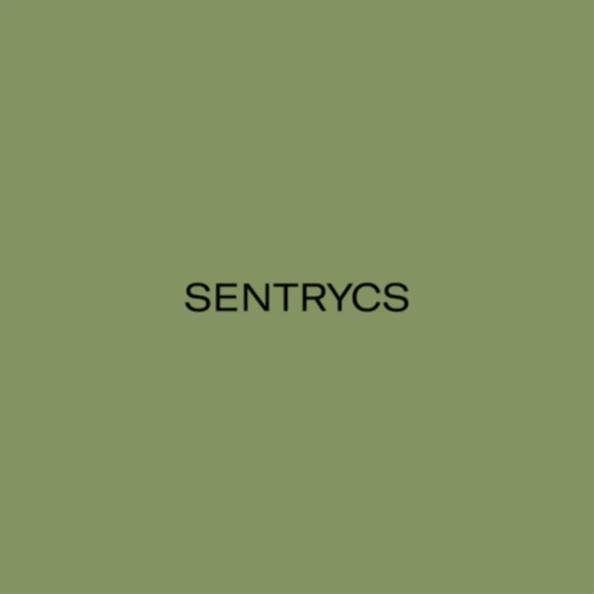 Schriftzug "Sentrycs"
