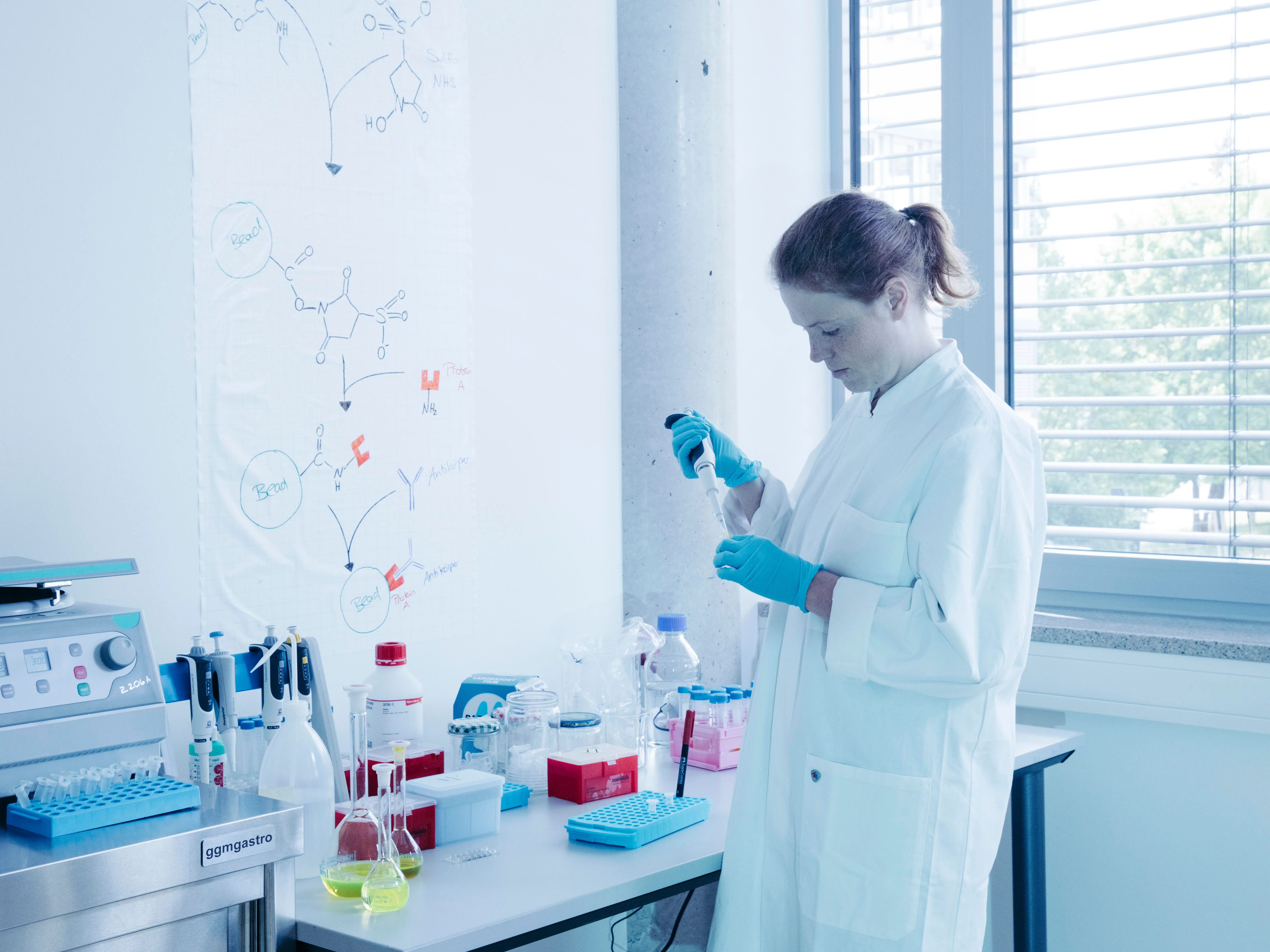 Sarah Hofbrucker MacKenzie