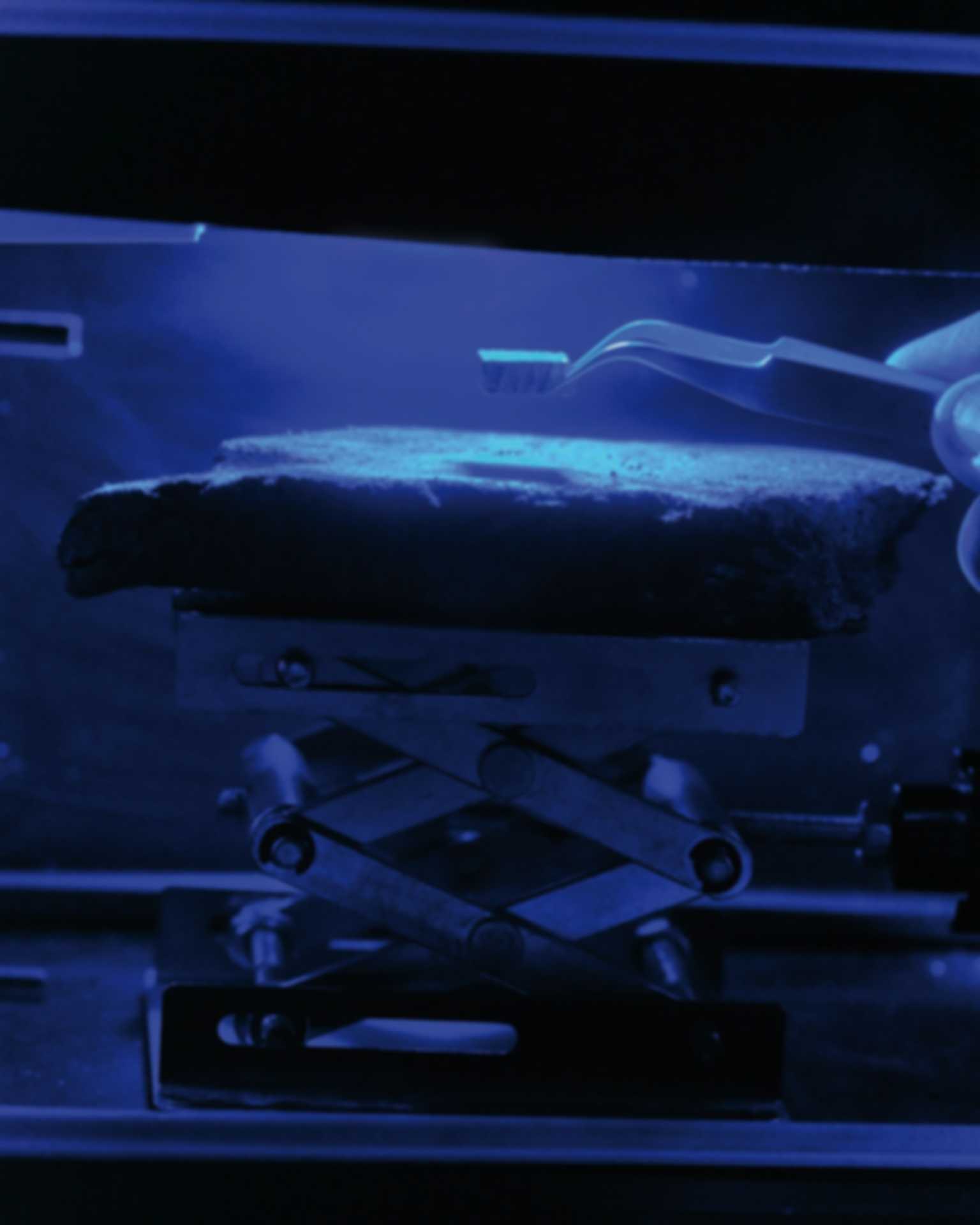 Blue Light Oven