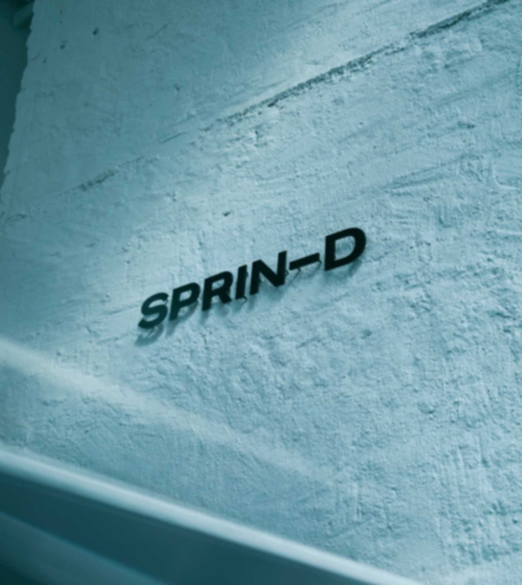 SPRIND Logo