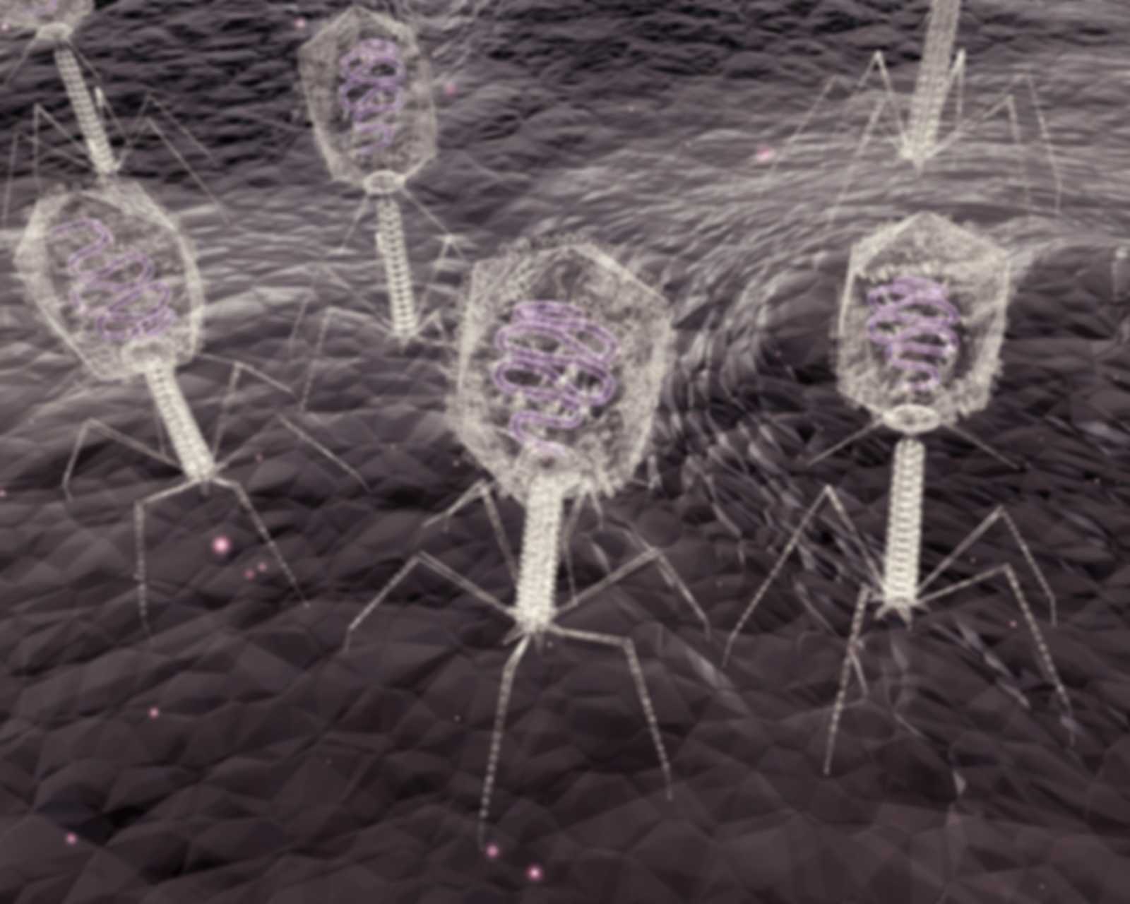 Phagen2030