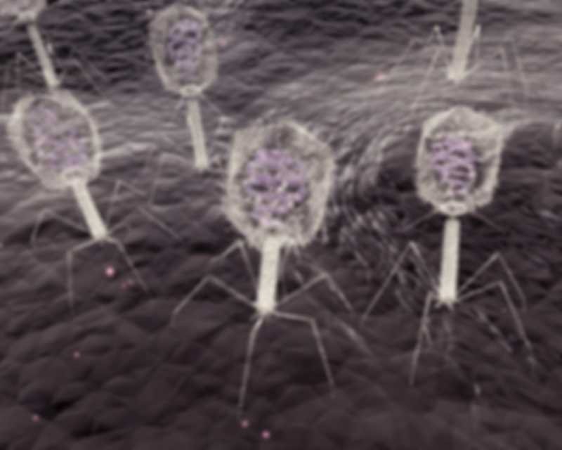 Sprind Image